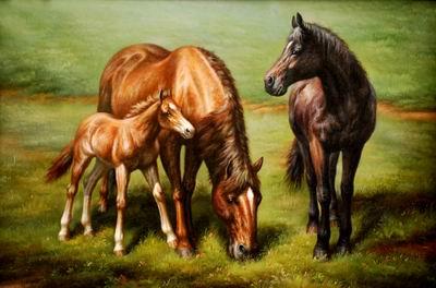 unknow artist Horses 037 Germany oil painting art